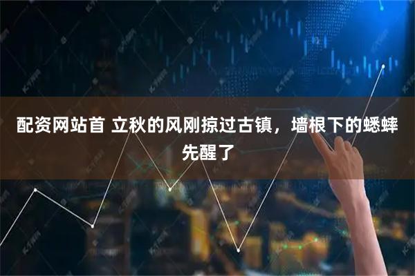 配资网站首 立秋的风刚掠过古镇，墙根下的蟋蟀先醒了