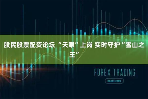 股民股票配资论坛 “天眼”上岗 实时守护“雪山之王”
