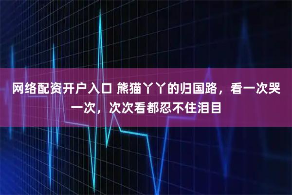 网络配资开户入口 熊猫丫丫的归国路,看一次哭一次,次次看都忍不住泪目