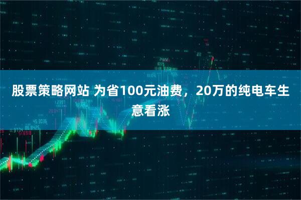 股票策略网站 为省100元油费，20万的纯电车生意看涨