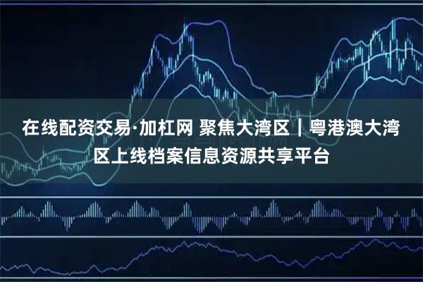 在线配资交易·加杠网 聚焦大湾区｜粤港澳大湾区上线档案信息资源共享平台